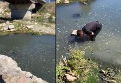 Atıklarını dereye boşaltan patates firmasına ceza