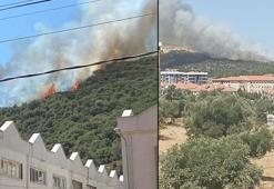 Muğla'da makilik yangını