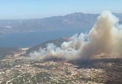 Aydın'da makilik yangını