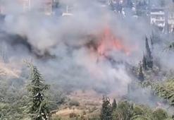Kocaeli'de ağaçlık ve çalılık bölgede yangın; 60 dönüm alan zarar gördü