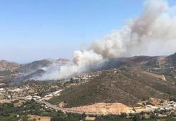 Aydın'da orman yangını kontrol altında