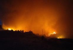 Karşıyaka'daki orman yangını; 87 ev boşaltıldı, 16 ev yandı