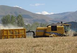 Üniversitede 1500 dönüm arazide yerli ve milli tohum üretilecek