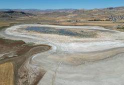 Üredikleri göl kurudu, turnalar bölgeyi terk etti