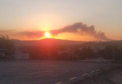 Urla'da makilik yangını