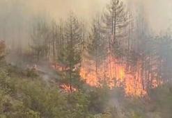 Orman yangınlarına ilişkin provokatif paylaşım yapan 20 hesap hakkında işlem başlatıldı