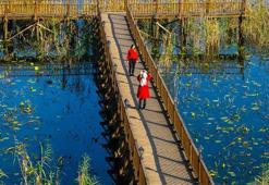 Renklerin buluştuğu göl, Efteni