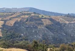 Manisa'daki orman yangını, 116,5 saat sonra kontrol altında