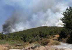 Muğla'daki yangınlar kontrol altında
