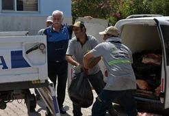 Aracında 1,5 ton tek tırnaklı hayvan eti çıktı; ‘akrabalarıma dağıtacaktım’ dedi