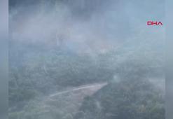 OGM: İzmir Menderes'teki orman yangını kontrol altına alındı