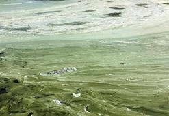 Eğirdir Gölü'nde müsilaj da başladı