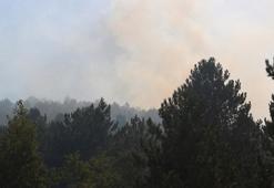 Afyonkarahisar Valiliği'nden 'orman, piknik ve mesire alanlarında ateş yakılmaması' uyarısı
