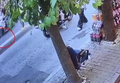 Motosikletlinin çarptığı Cihangir'in maskotu Tarçın öldü