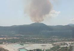 İzmir'de orman yangını