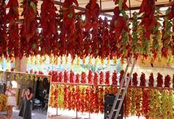 Dizilip asılmaya başlanan tescilli Kale biberlerine turist ilgisi