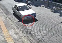 Yavru köpek ölümden döndü; o anlar kamerada