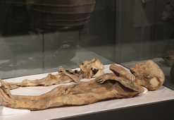 97 yıl önce bulunan 2 çocuk mumyası, ilk günkü gibi korunuyor