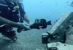 Plastik şişeye sıkışan nesli tehlike altındaki balığı kurtardı