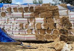 Ordu'da mandırada yangın; 100 ton saman, kamyon ve iki zirai tarım aracı yandı