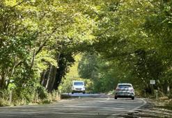'Ağaç tünel yol' hayran bırakıyor