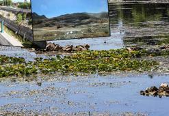 Kırkgöz kurudu, şehre verilen su durdu