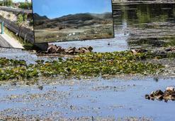 Kırkgöz kurudu, şehre verilen su durdu