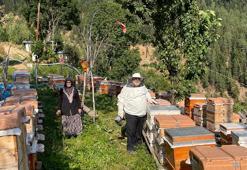 Kaçkar Dağları'nda 40 yıldır arıcılık yapıyor