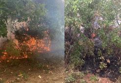 Kozan'da 'yıldırım' düşmesi sonucu 4 noktada orman yangını çıktı