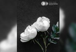 Solingen’deki bıçaklı saldırgan polise teslim oldu