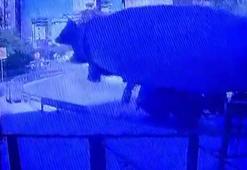 Kartal'da beton mikseri devrildi