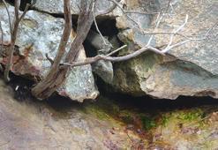 Çanakkale'de 1600 yıllık mağara kilisede 'defineci' tahribatı