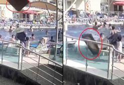 Şezlongda güneşlenirken üzerine baca kapağı düştü