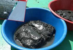 Prof. Dr. Değirmenci: Balık ölümleri ve kötü kokunun sebebi, İzmir yangınları da olabilir