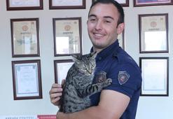 Ankaralı itfaiyeci, deprem enkazından kurtardığı 'Maraş' ile yaşıyor