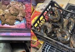 Fatih'te sakatatçılarda hijyen tepkisi: Kokudan aşağıya inilmiyor