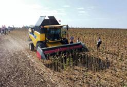 TZOB Başkanı Bayraktar: Ayçiçeğinde kuraklık desteği verilmesi son derece önemli