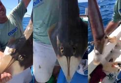 'İnsan yüzlü' balık oltaya takıldı
