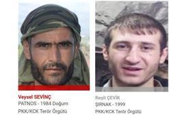 Şırnak'ta etkisiz hale getirilen paramotorlu teröristlerden biri kırmızı, biri gri kategoride