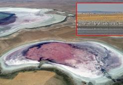 'Flamingo cenneti' Küçük Göl kurudu
