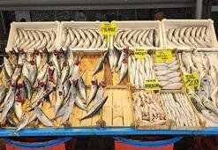 Av yasağı bitti tezgahlar palamutla doldu