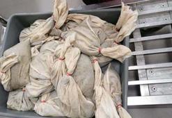 İstanbul Havalimanı’nda 20 bin adet sülük ele geçirildi