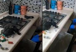 Ankastre fırından ruhsatsız silahlar çıktı; ‘Kimin koyduğunu bilmiyorum’ dedi