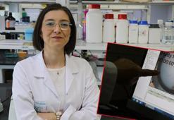 Türk ve Fransız bilim insanlarının 15 yıllık çalışmasıyla otizm tedavisinde yeni aday gen keşfedildi