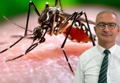 Doç. Dr. Doğan: Batı Nil ateşinde panik havası oluşturmak doğru olmaz
