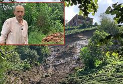 Çay hasadında heyelandan son anda kurtulmuş