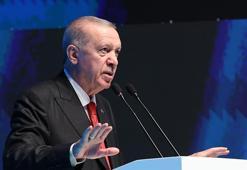 Cumhurbaşkanı Erdoğan: Türkiye'yi zafiyete uğratmayı amaçlayan ırkçılık tuzağının merkez üssü sanal alemdir