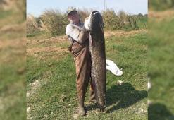 Gölette 25 kiloluk yayın balığı yakaladı