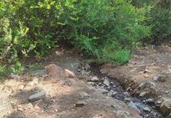 Fethiye'de ormanda terk edilmiş bebek bulundu