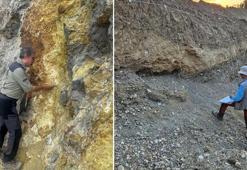 Prof. Dr. Sözbilir: 5 büyüklüğündeki depremde, Narlı Fayı'nın güney bölümü kırıldı